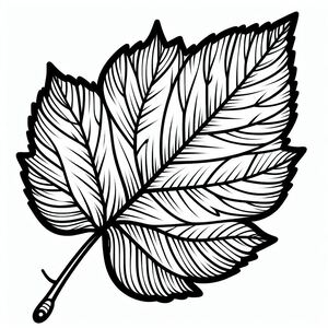 A black and white drawing of a leaf 2
