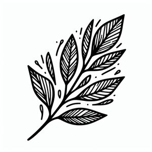 A black and white drawing of a leaf 2