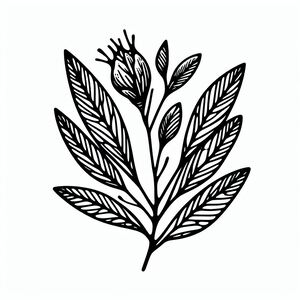 A black and white drawing of a leaf