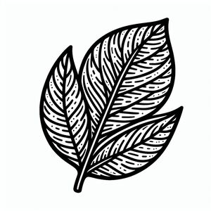 A black and white drawing of a leaf 3