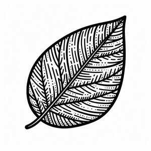 A black and white drawing of a leaf
