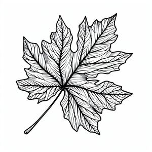 A black and white drawing of a leaf