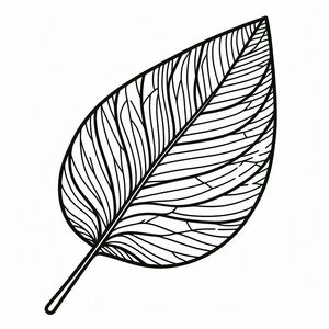 A black and white drawing of a leaf 3