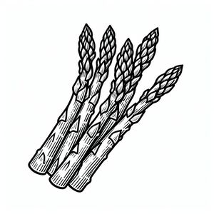 A black and white drawing of a bunch of asparagus