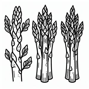 A line drawing of three stalks of broccoli