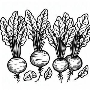 A black and white drawing of three turnips