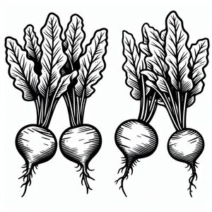A couple of radishes that are on top of each other