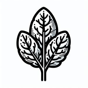 A black and white drawing of a leaf