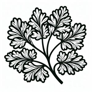 A black and white drawing of a plant