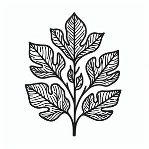 A black and white drawing of a leaf
