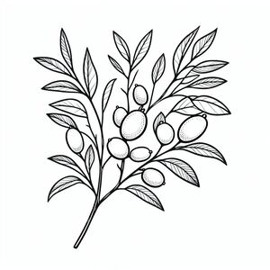 A black and white drawing of an olive branch