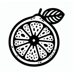 A black and white drawing of a lemon 4