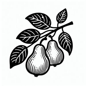 A black and white drawing of pears on a branch
