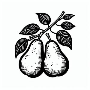 A black and white drawing of two pears 3