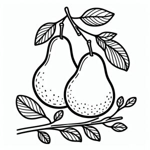 A black and white drawing of two pears on a branch