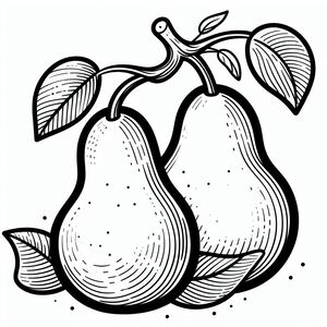 A black and white drawing of two pears