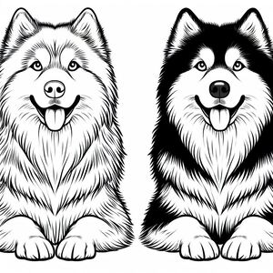 Alaskan Husky 2