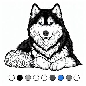 Alaskan Husky 3