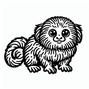 Pygmy Marmoset Monkey 3