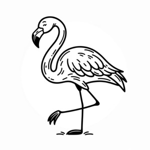 Flamingo