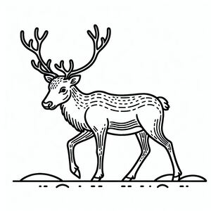 Reindeer Caribou 4