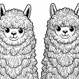 Two Hairy Alpacas 1
