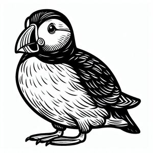 Horned Puffin 3