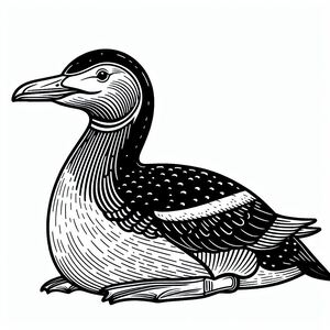 Tuyệt chủng Great Auk 4