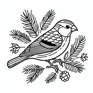 Pine Grosbeak 4