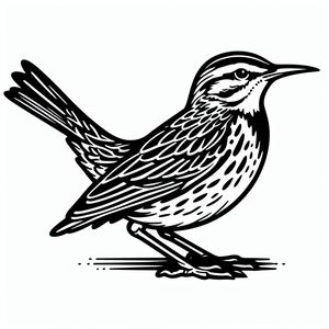 Eastern Meadowlark 3