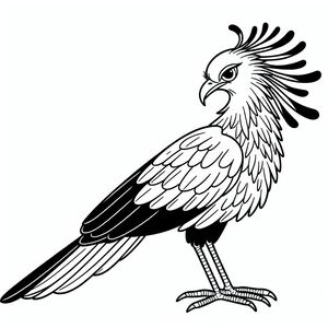 Thư ký Bird 2
