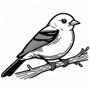 Scarlet Tanager 3
