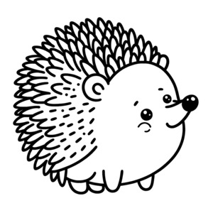 Round hedgehog