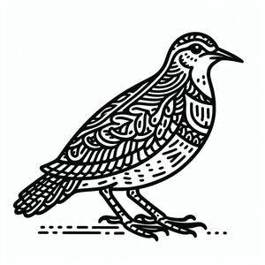 Woodcock Bird 1