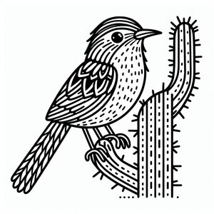 Cactus Wren 2