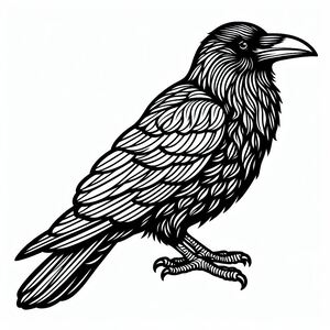 American Crow (Corvus Brachyrhynchos) 1