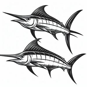 White Marlin (Kajikia Albida) 2
