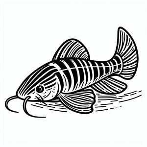 Striped Raphael Catfish (Platydoras Armatulus) 1