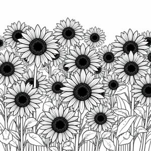 many sunflowers