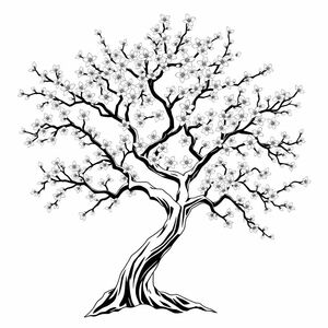 Cherry blossom trees spread out with many flowers and branches bent to create a mysterious and fantastical shape