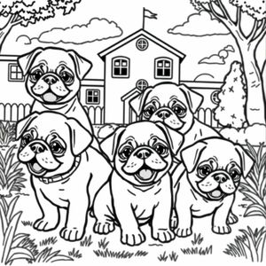 pug puppies playing happily in school yard