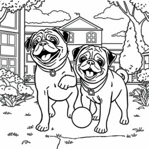 two pugs happily playing in schoolyard 