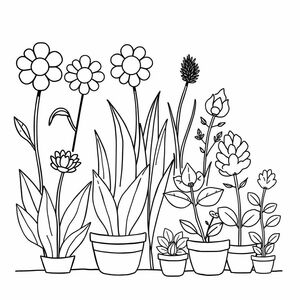plants