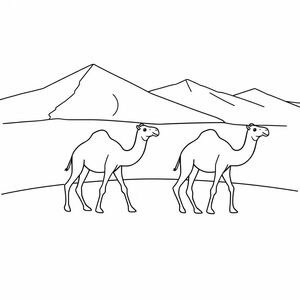 Camels in the Sahara desert
