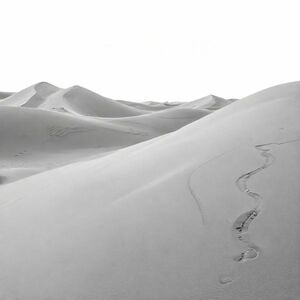 Sahara desert sand dunes