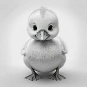 Cartoon friendly full-body duckling that is smiling and a solid black cartoon eye in a pond. Also have "DUCK" underneath it in a bubble outline to color 