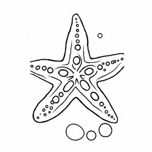 starfish