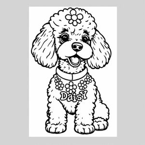 a poodle with a coller that says Daisy