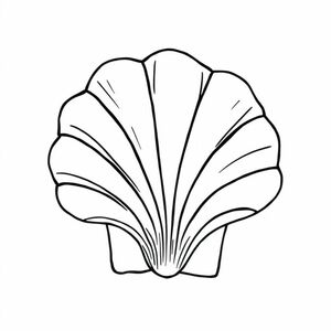 Giant beach shell fan shape

