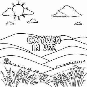 Landscape view with the words OXYGEN IN USE centered and wri